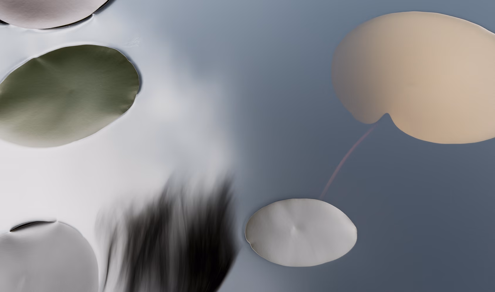 Demo image