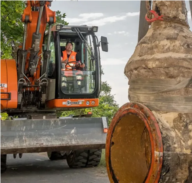 Bauarbeiter fährt orangefarbenen Bagger neben einem großen, ausgegrabenen Baumstamm mit wurzeln.