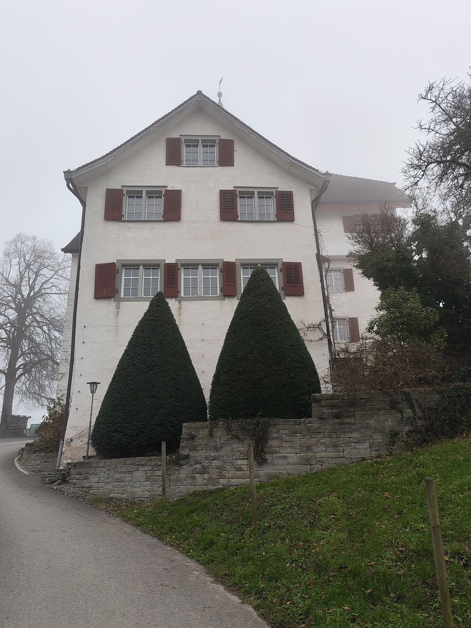 Baumpflege