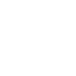Weißes FaceBook Logo
