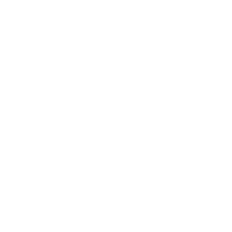 Weißes LinkedIn Icon