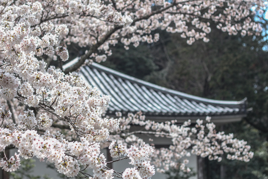 Curated travel experience destination image