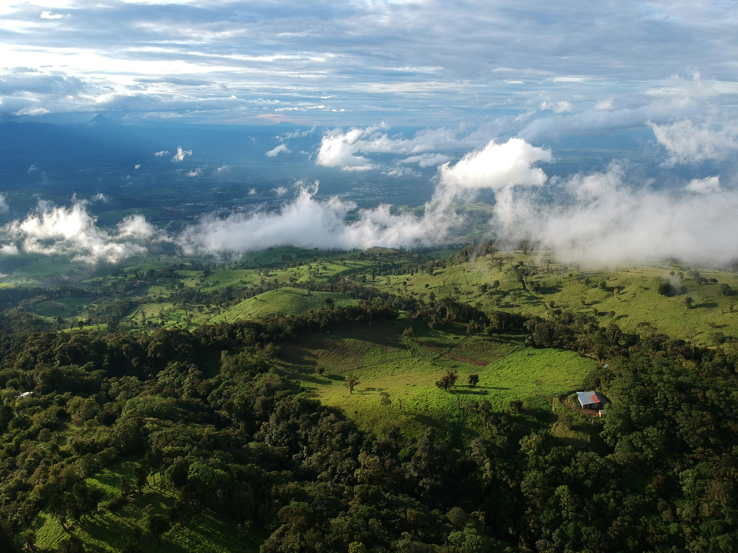 Aerial view of dense green Costa Rican rainforest canopy