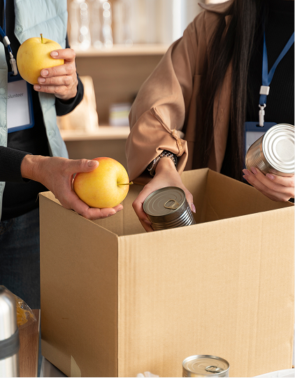 Help Bring Daily Meals