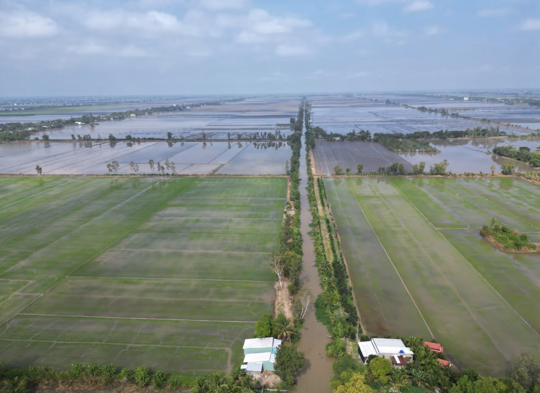 Aerial view of flooded delta farmland and a levee road, representing the Mississippi Delta region served by Delta Regional Authority grants