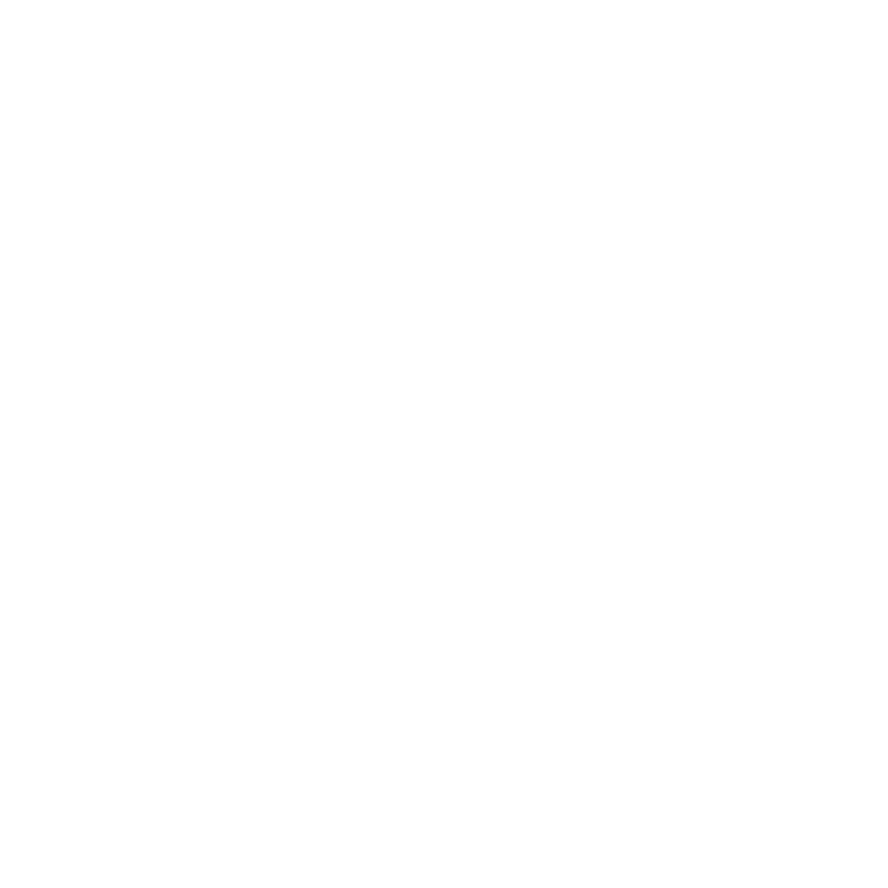Enquiry icon