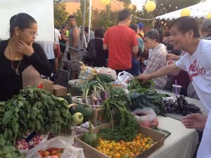 jademarket_shopping