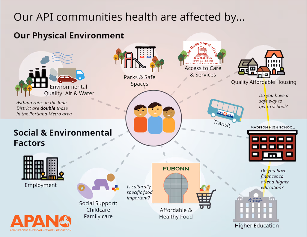 API Social Determinants of Health2