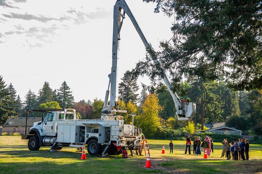 crowd stands around as white bucket truck lift two children into a tree 