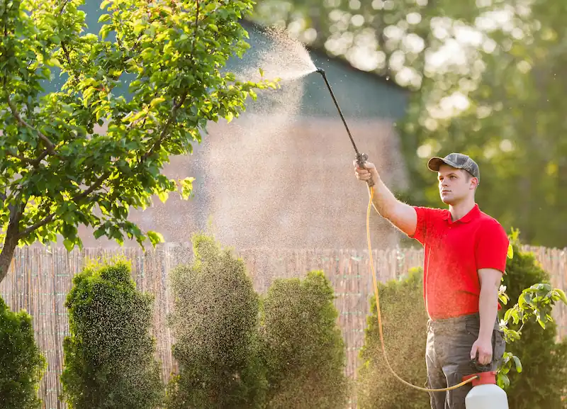 Man in red shirt spraying pesticide on bushes and tree in a garden.