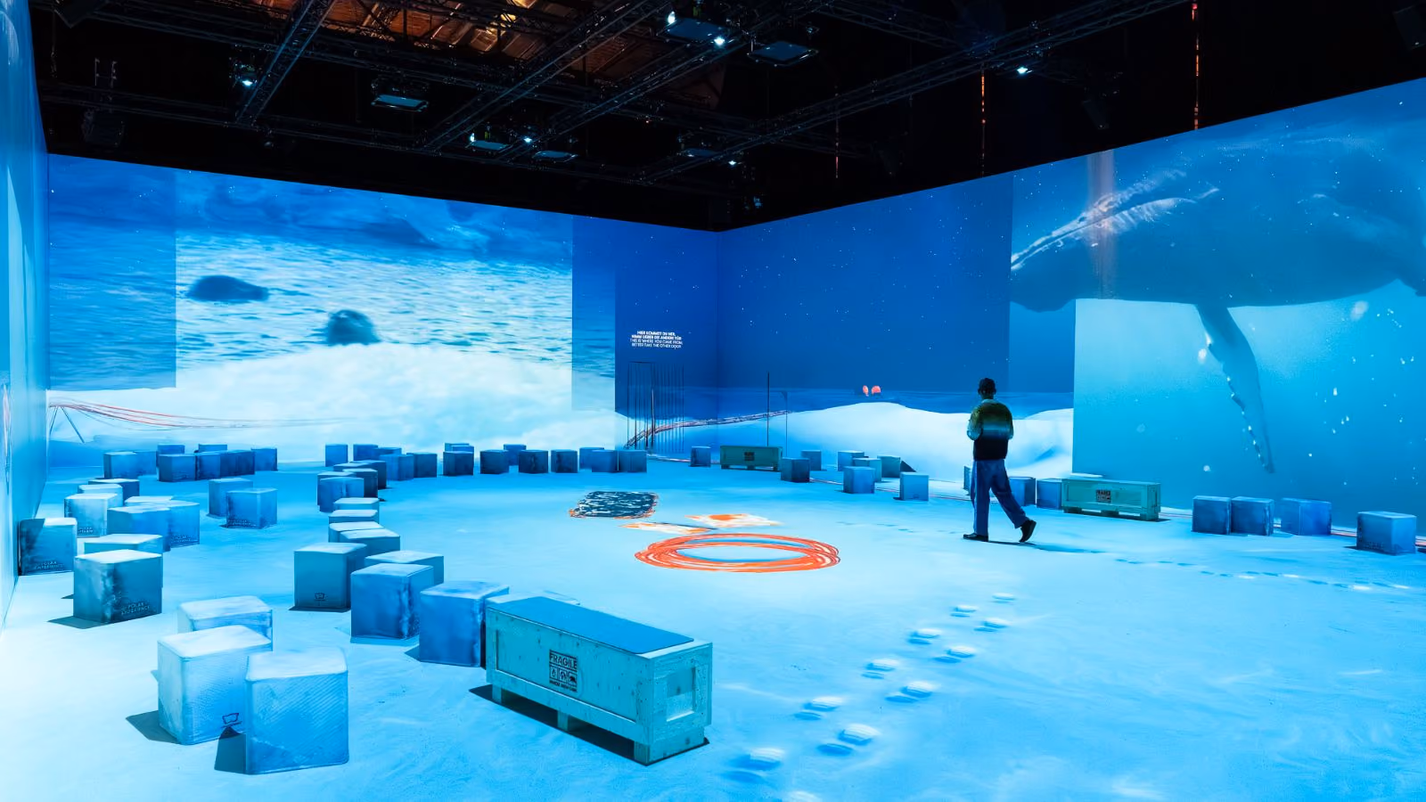 Immersive Arctic and Antarctic visuals wrapping the experience space