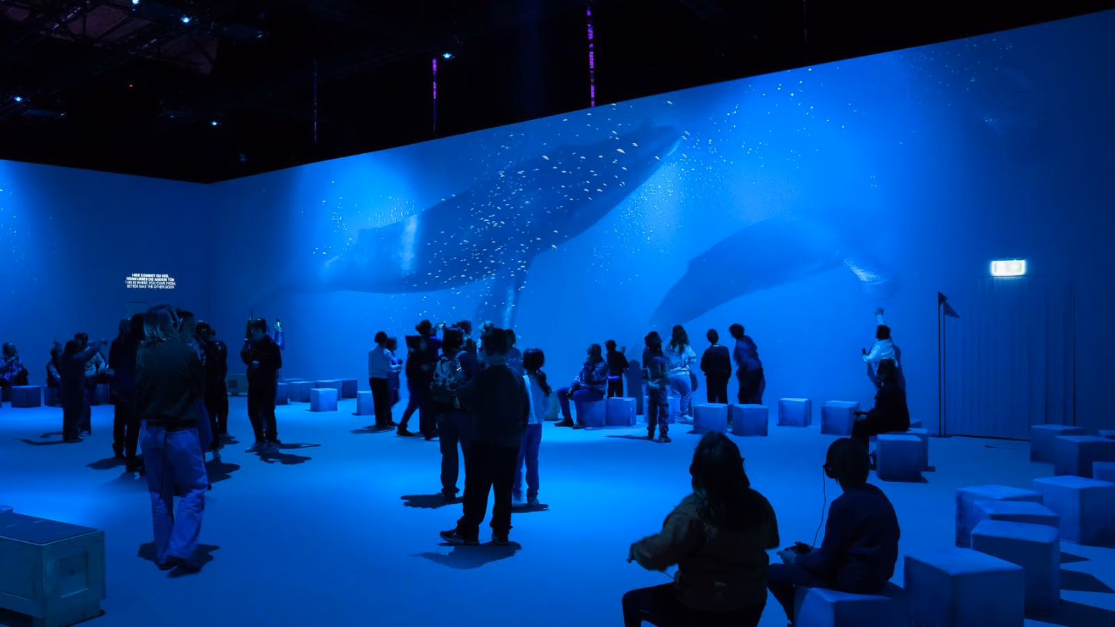 Visitors standing beneath large-scale polar scenery projections