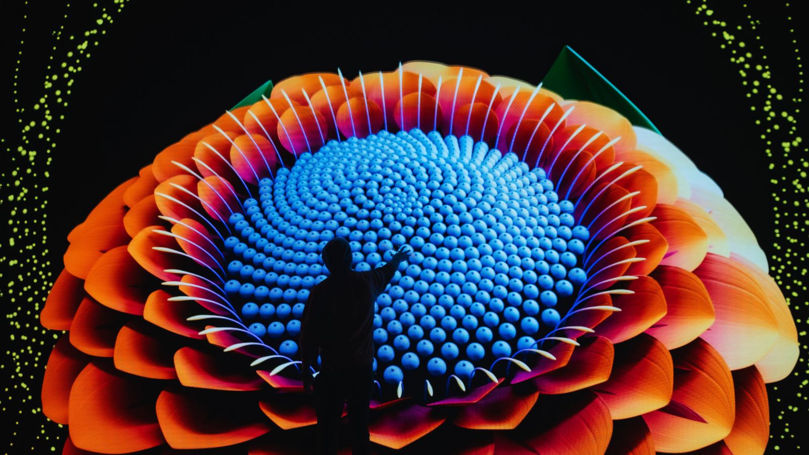 Person stands before a giant glowing digital flower projection