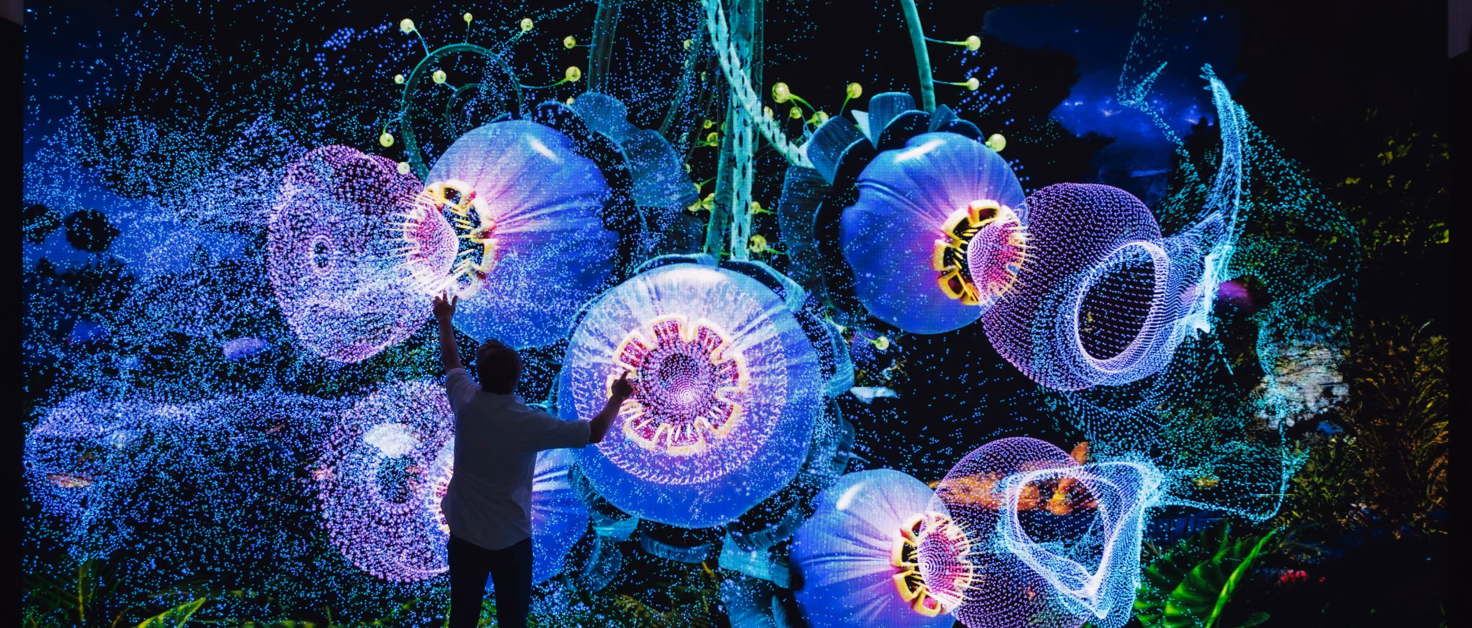Silhouetted visitor reaches toward glowing blue and purple floral projections