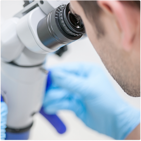 Person wearing blue gloves looking through a microscope lens.
