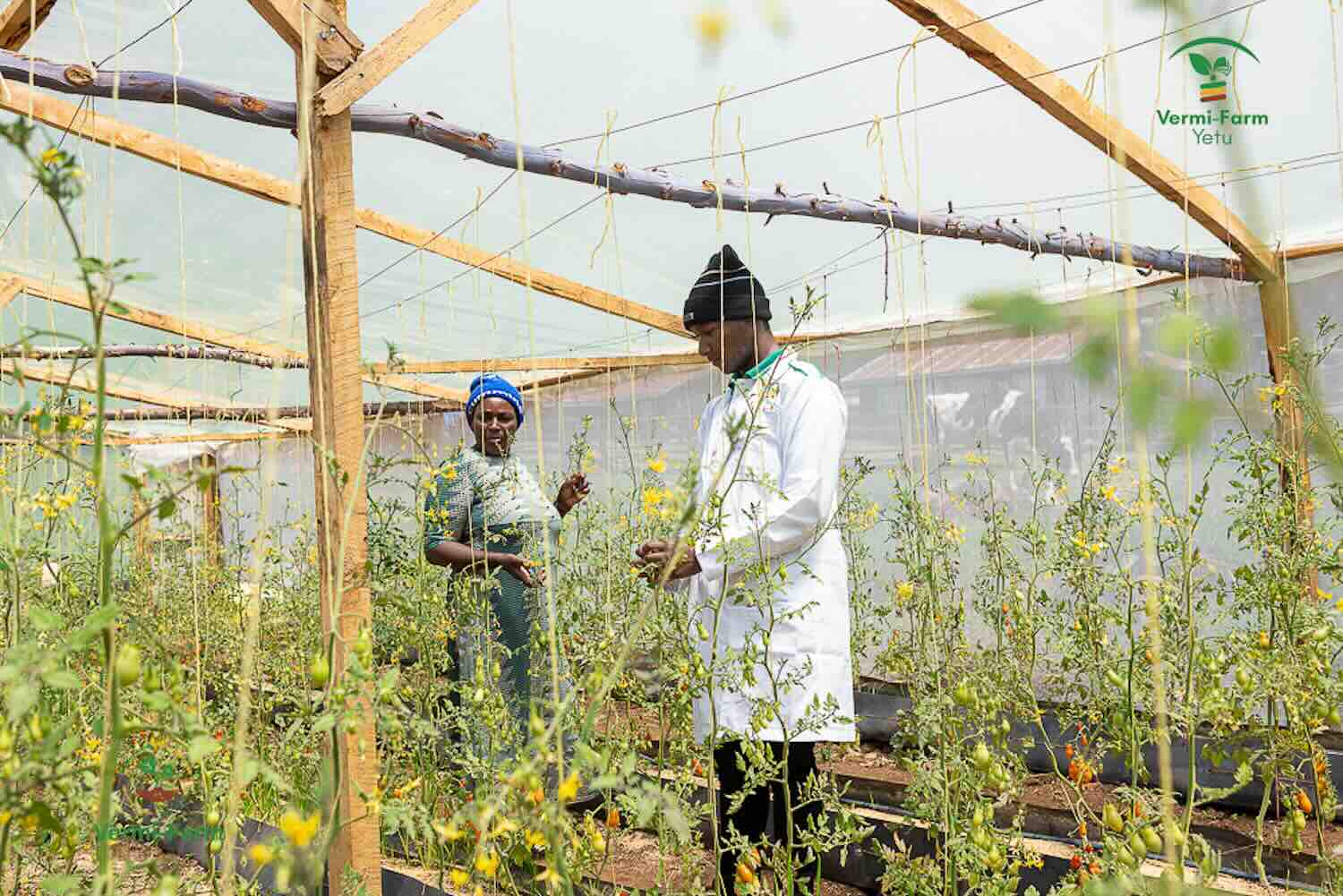 Tailoring finance and policy to empower global small businesses to lead on climate action