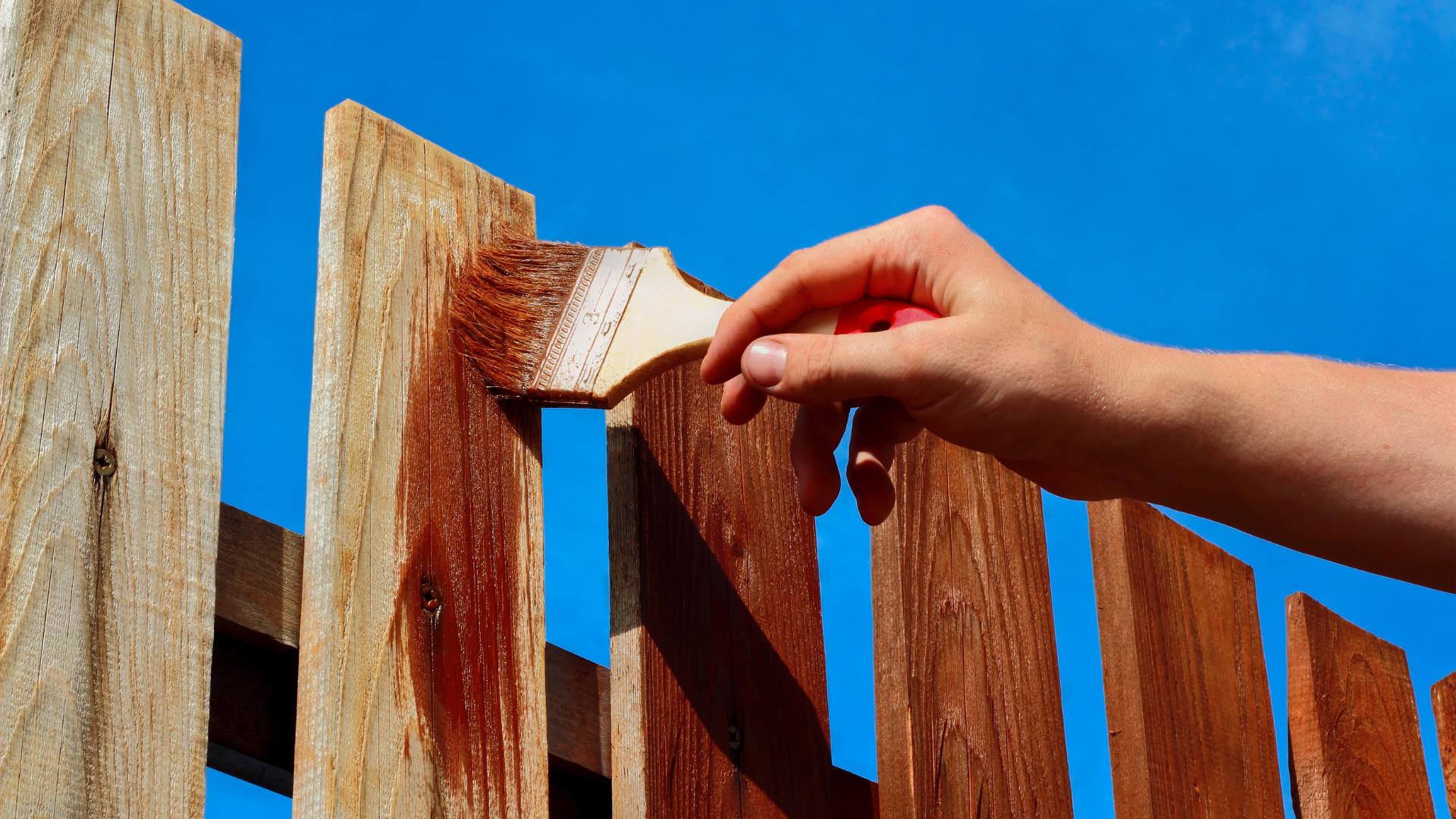 Cedar wood fence after professional staining and sealing in Northern Colorado