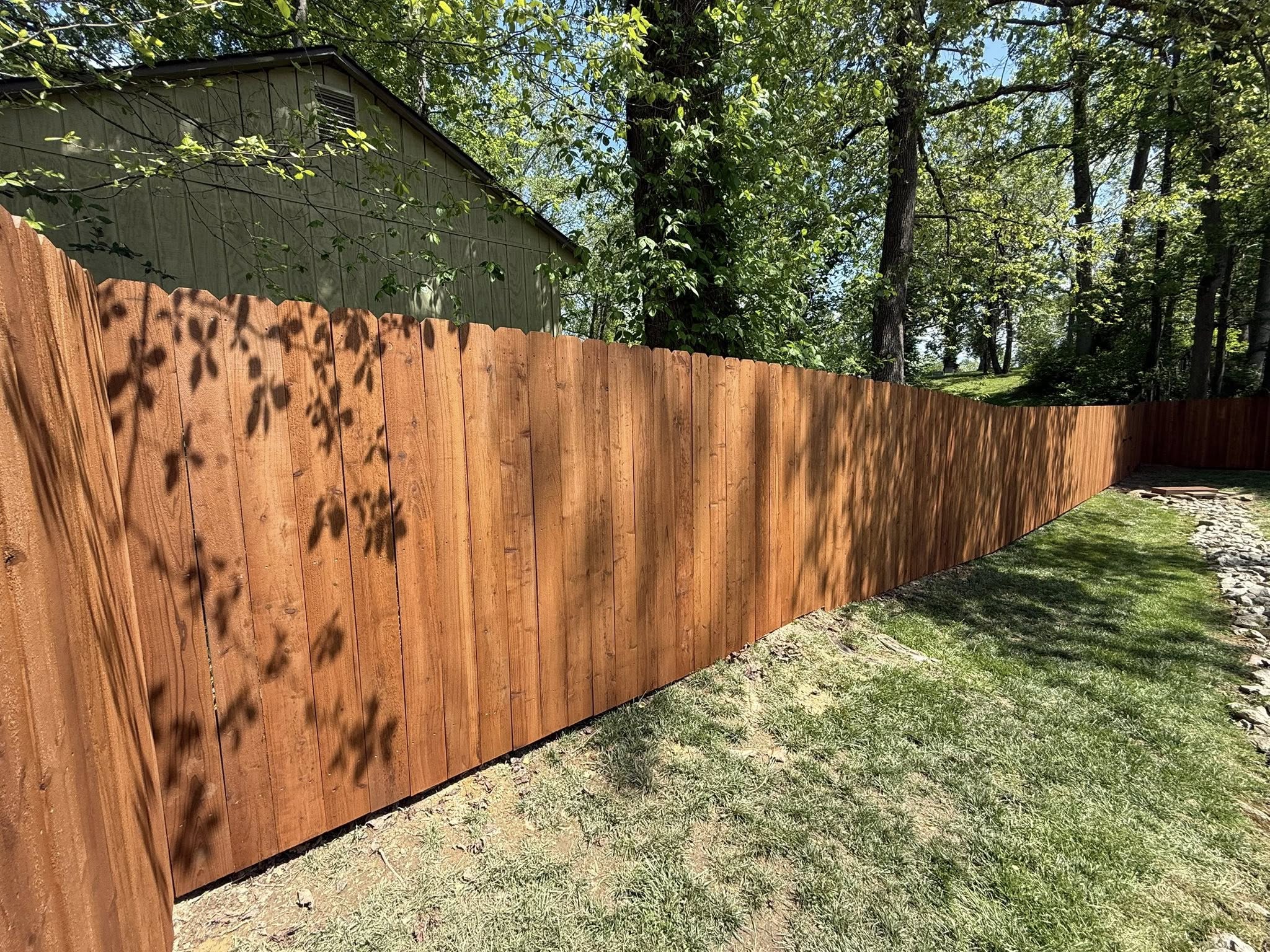 Long backyard wood privacy fence freshly stained and sealed in Northern Colorado