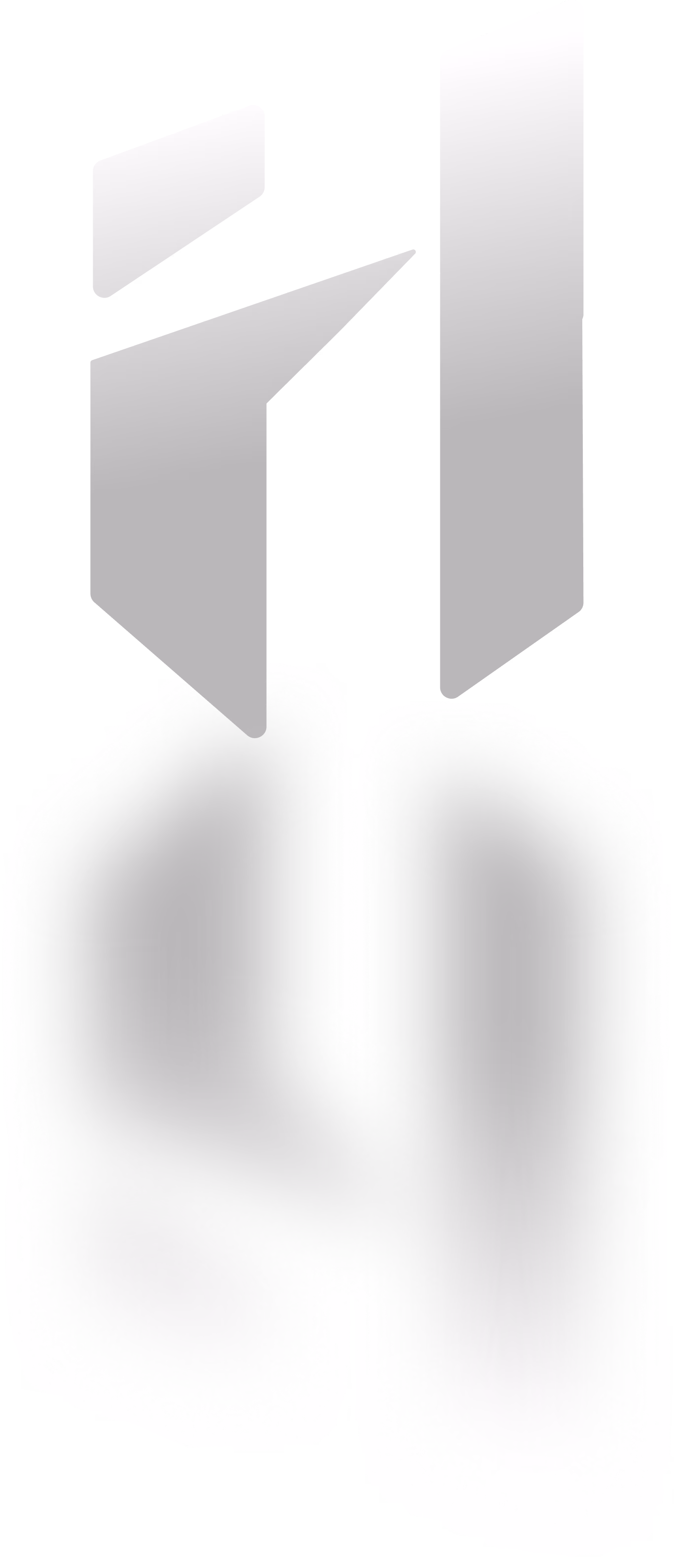 Firmenlogo gespiegelt von HSL Digital