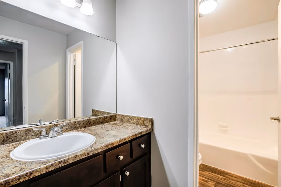 Bathroom with brown cabinets