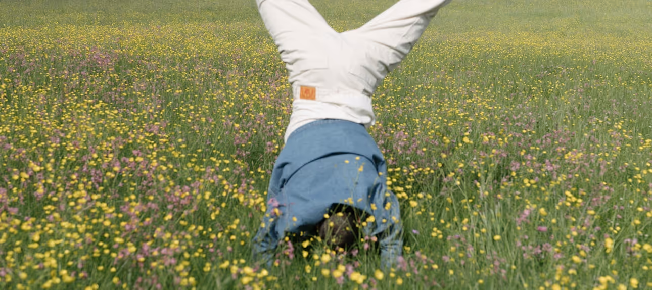 Personne en pantalon blanc et veste bleue faisant un poirier dans un champ de fleurs jaunes et violettes.