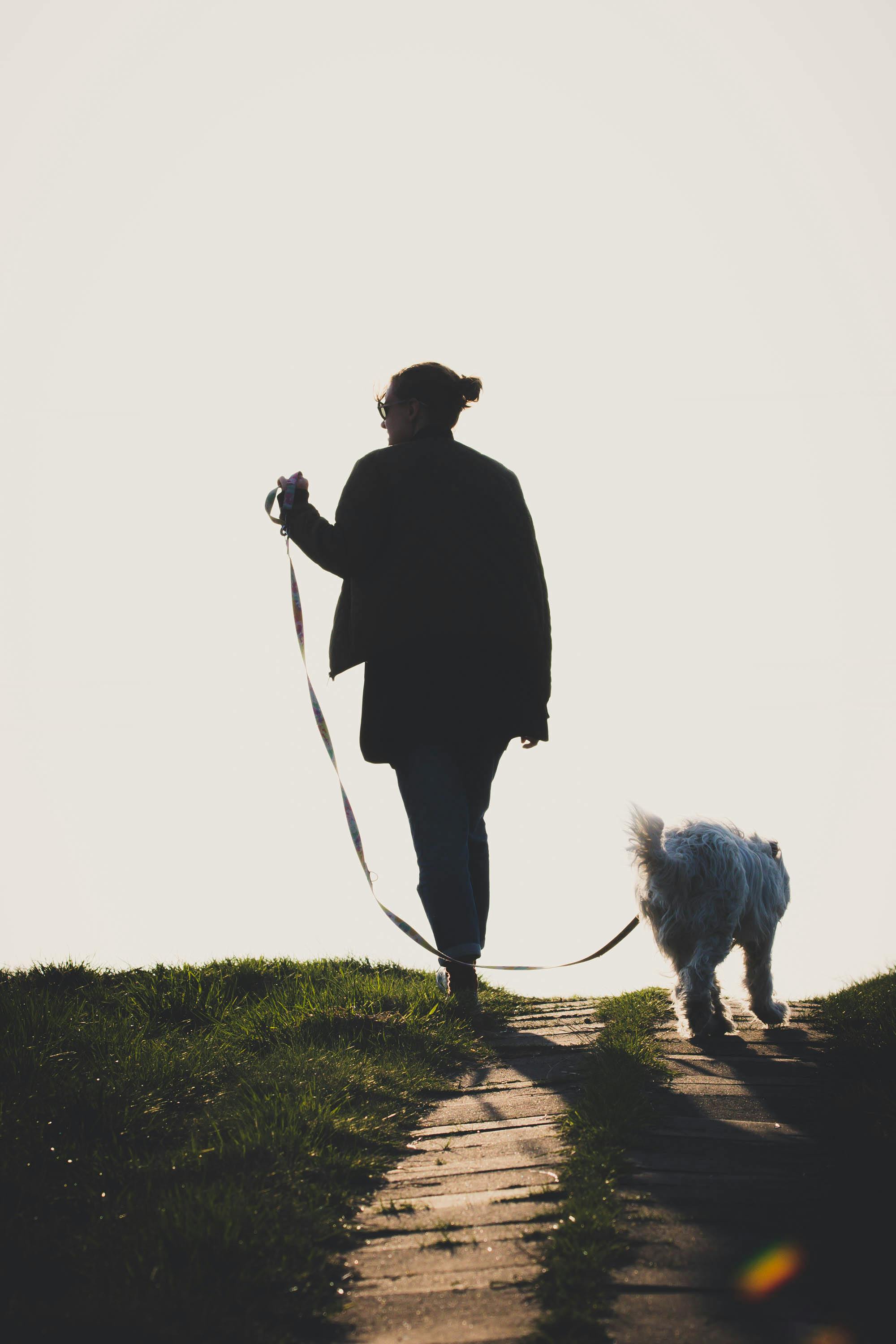 Dog sitter