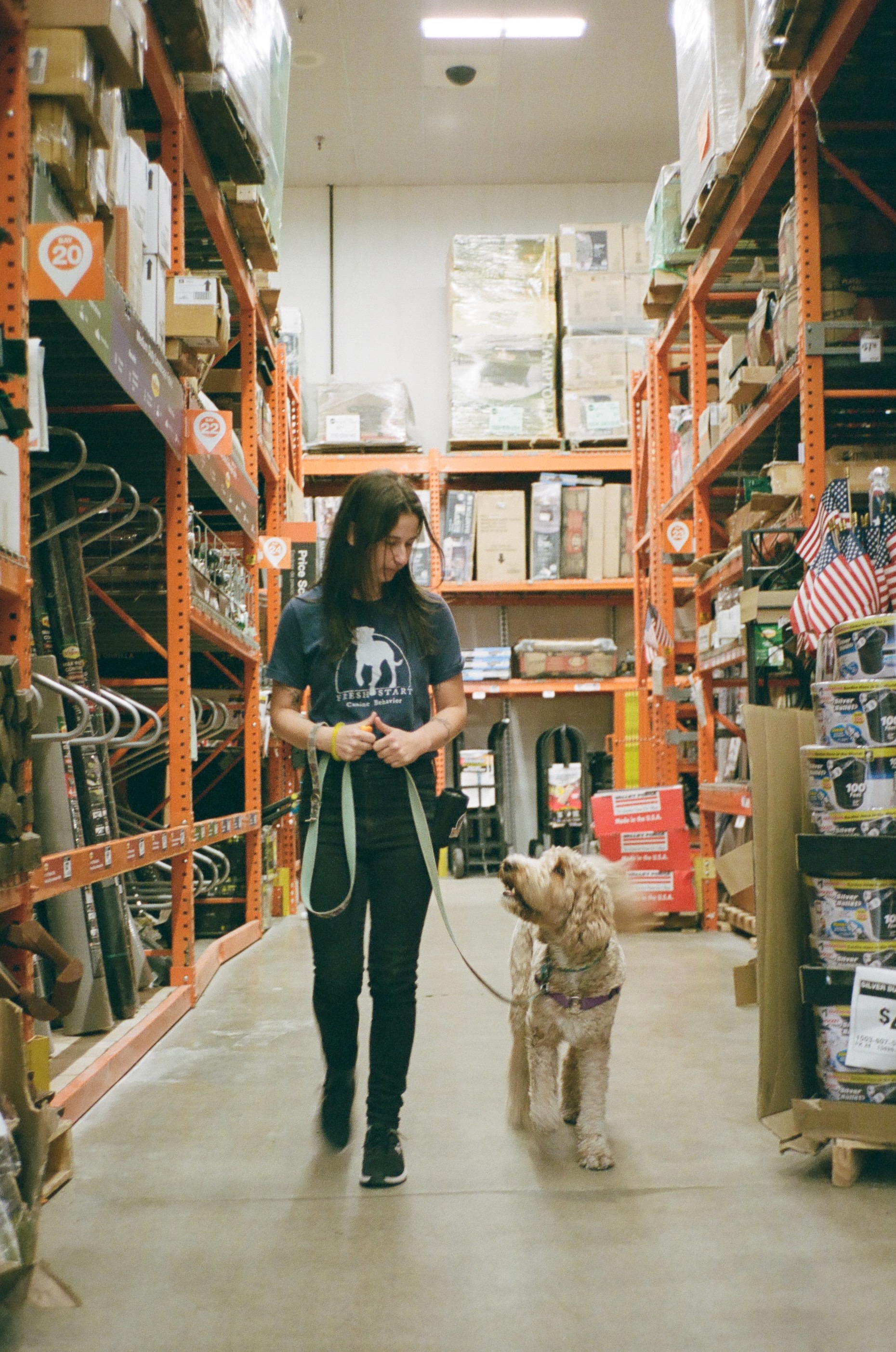 Sophie is walking with a goldendoodle inside a home depot.