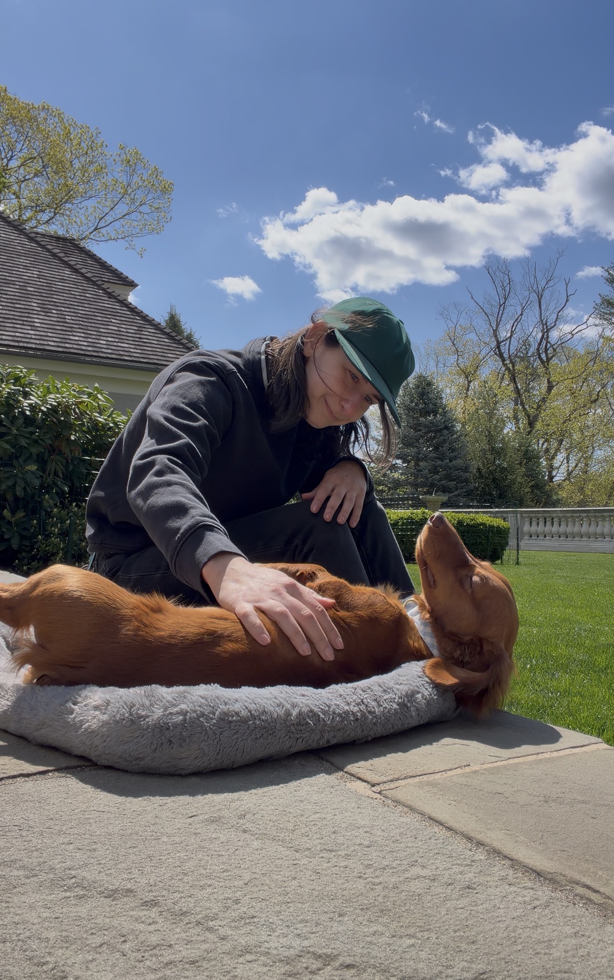 Sophie is petting a very calm happy dog in the sun