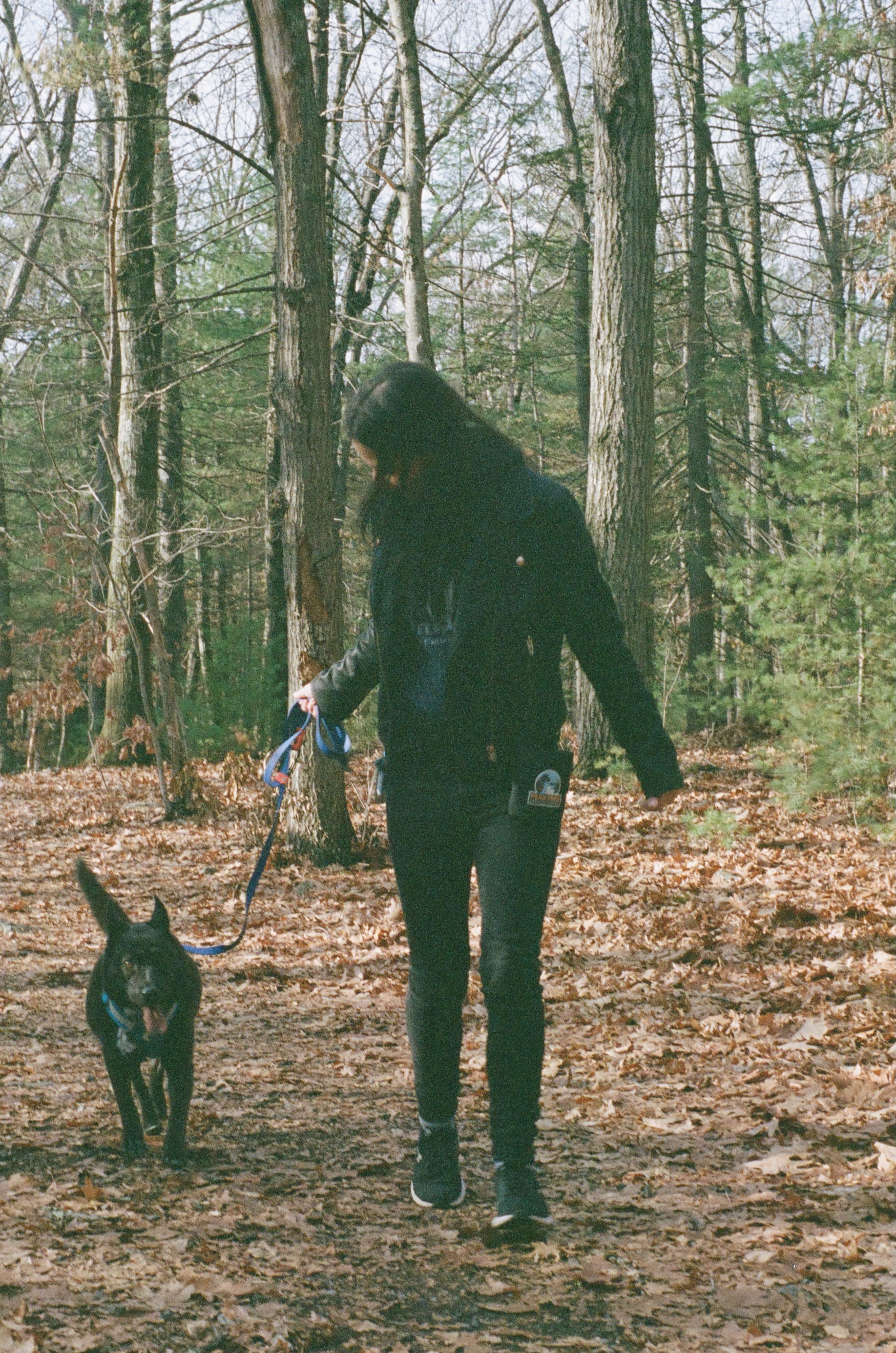 Sophie walking in the woods with her dog meesha on a fall day
