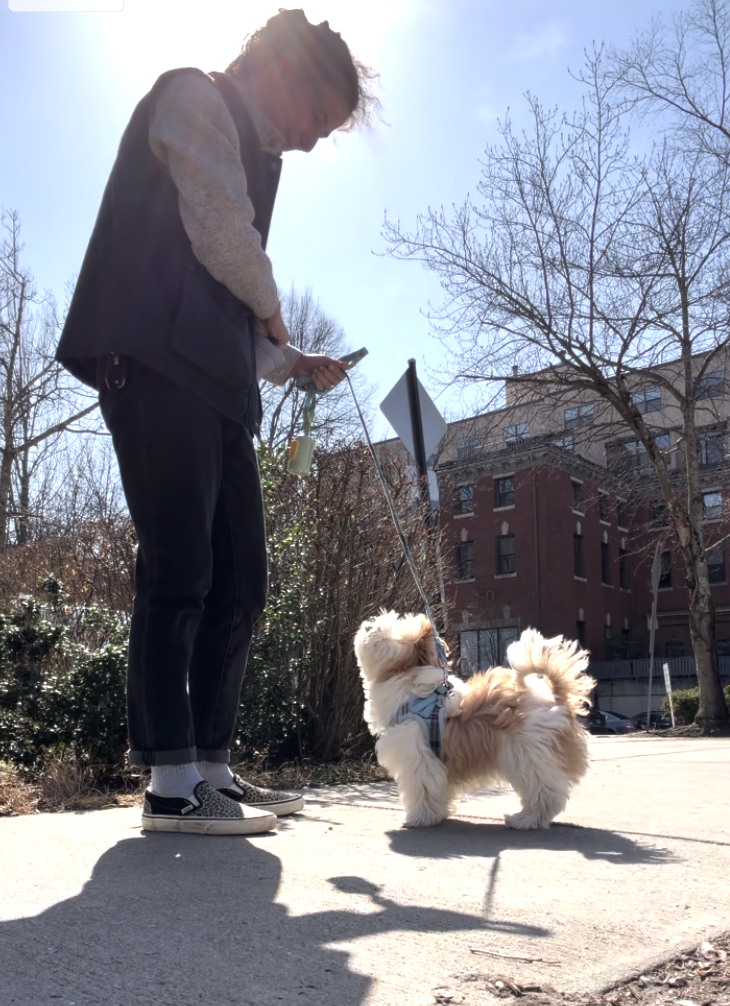 Sophie is outside in Boston with a tiny puppy looking up at her