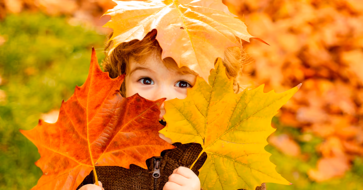 🍁 Fall Tips for Children with Autism: Practical Tips for Navigating Seasonal Changes with Confidence🍁