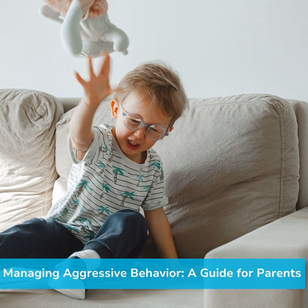 Managing Aggressive Behaviors: A Guide for Parents