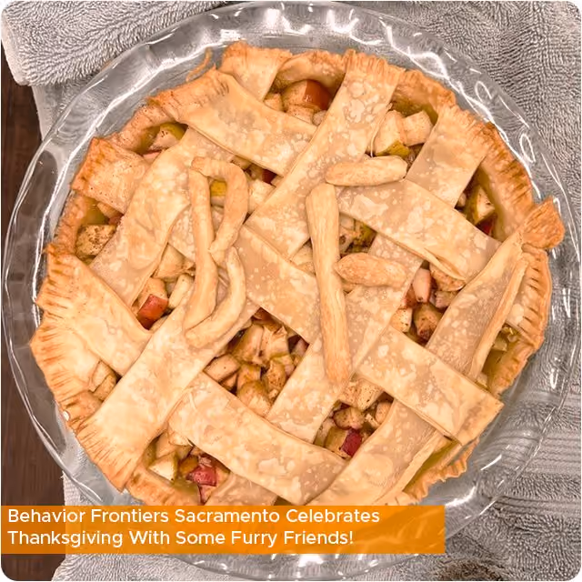 Behavior Frontiers Sacramento Celebrates Thanksgiving With Some Furry Friends! — Behavior Frontiers