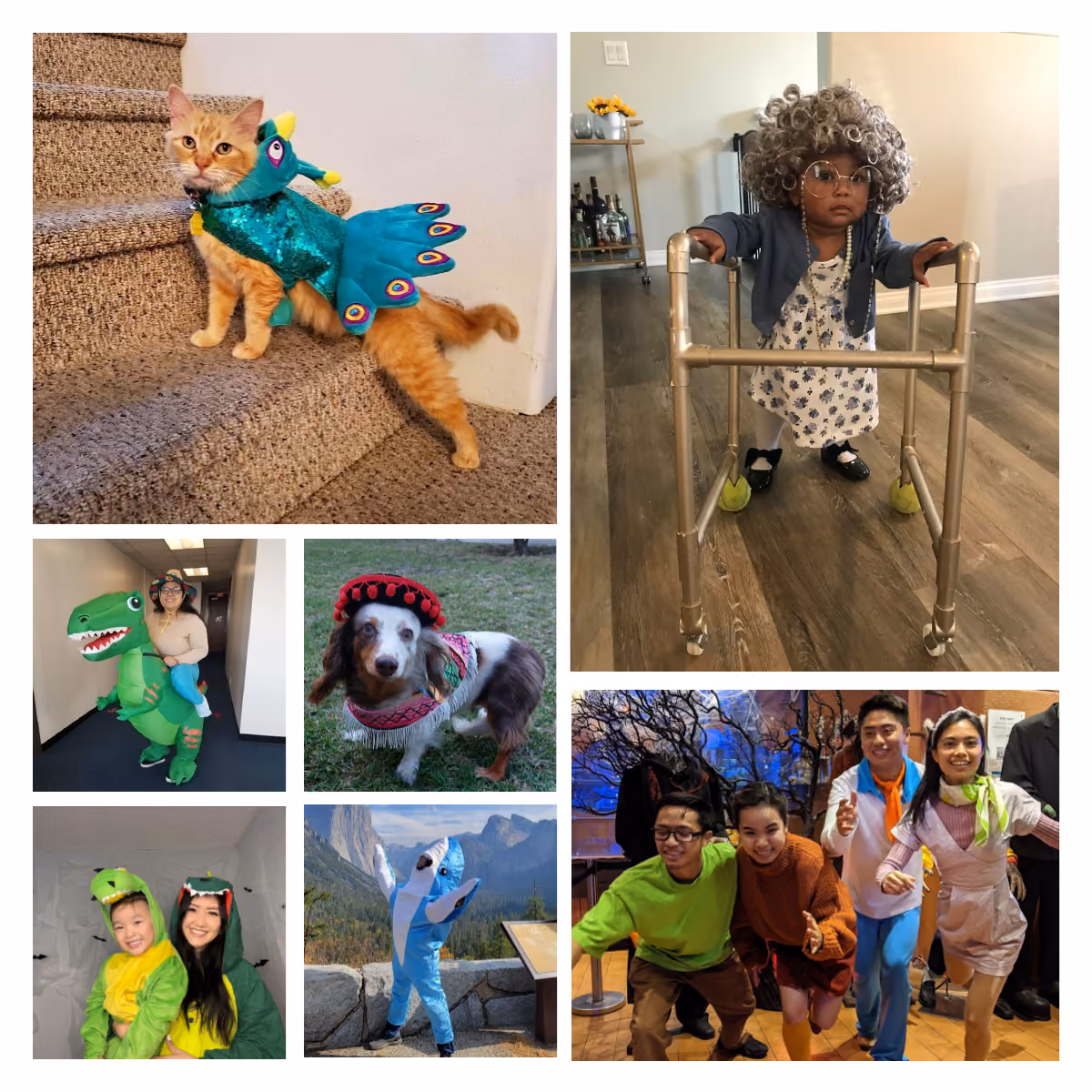 Behavior Frontiers Gets Into the Halloween Spirit with Annual Costume Contest! — Behavior Frontiers