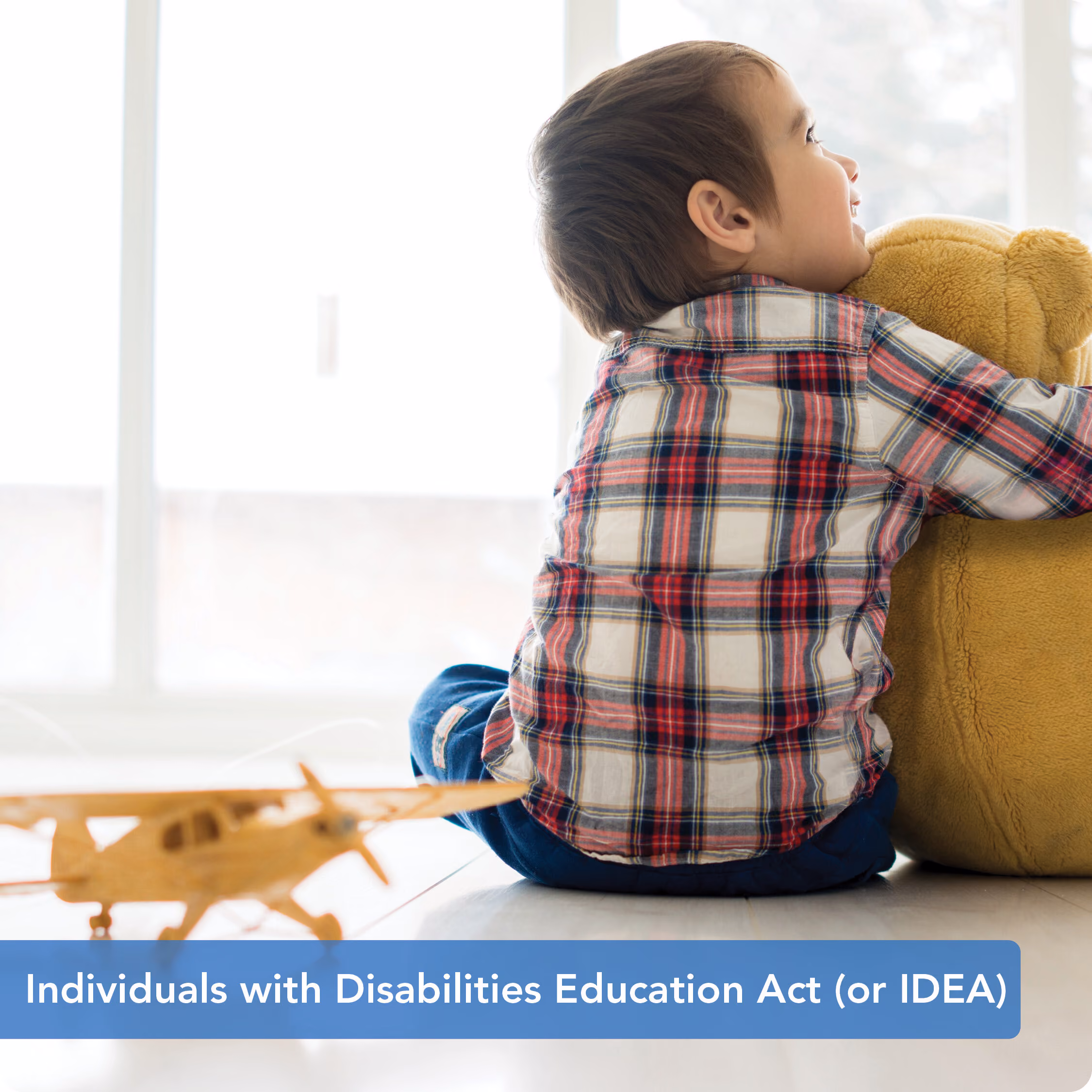 Individuals with Disabilities Education Act (or IDEA) — Behavior Frontiers