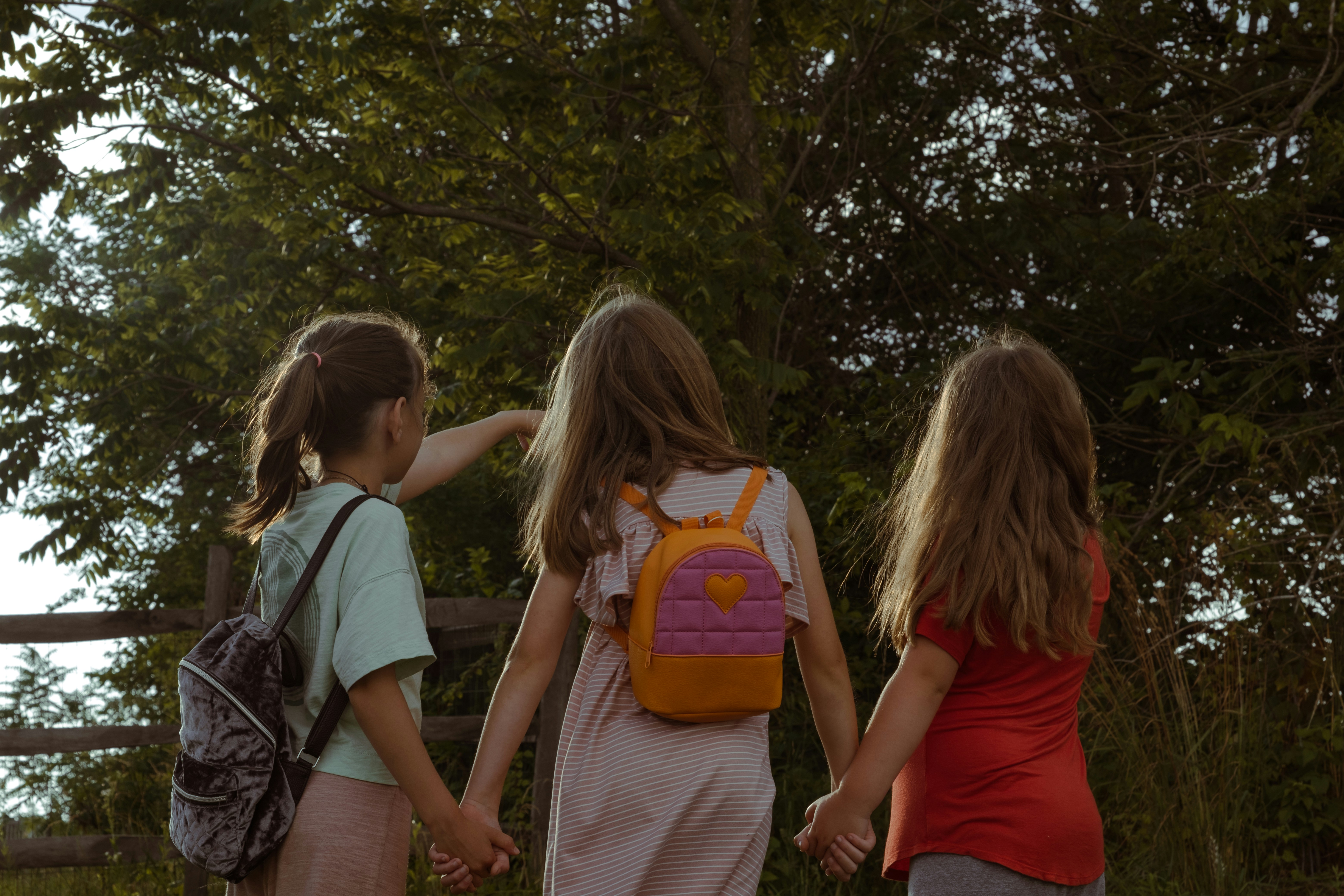 What is Joint Attention? — Behavior Frontiers