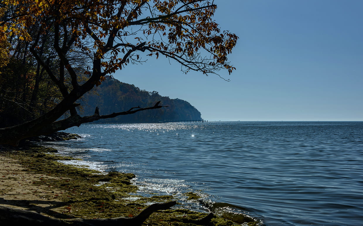 Chesapeake