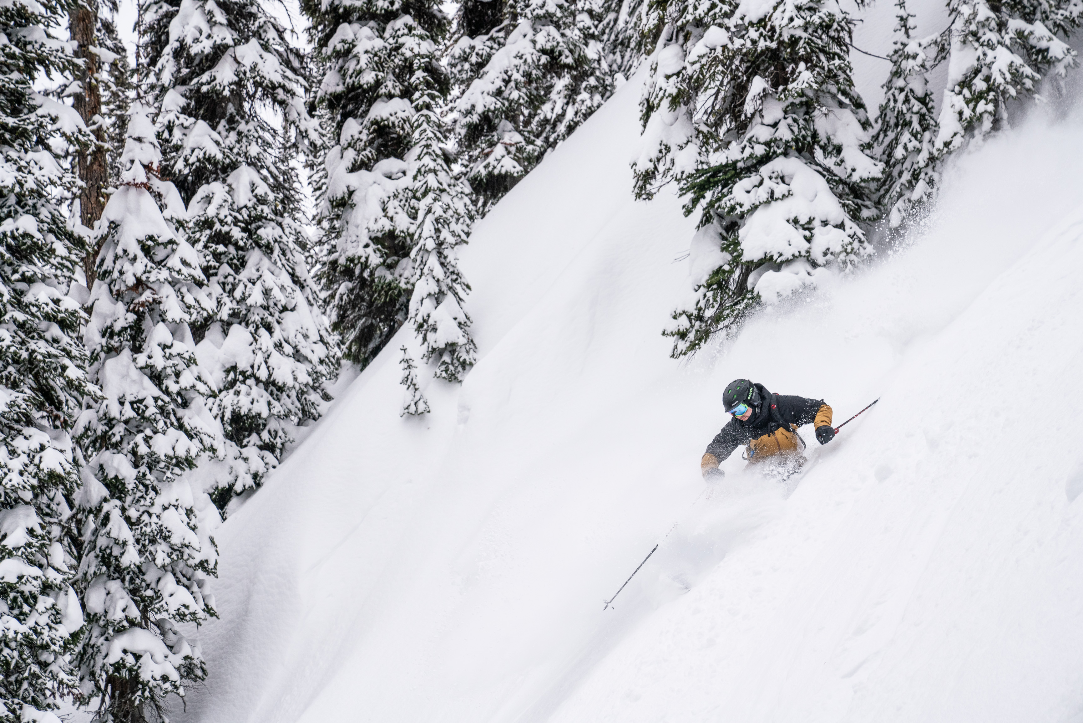 Grant Wiltshire skiing in waist deep snow throught trees