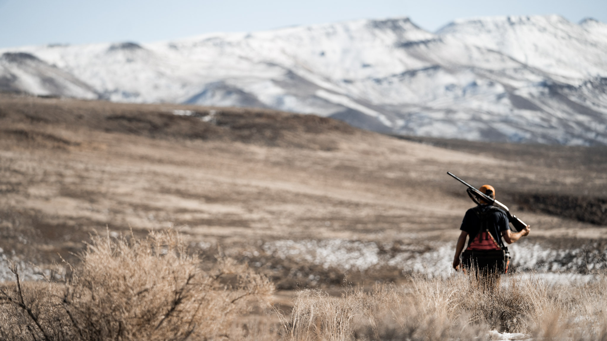 Hunter with rifle walking through tall grass with snowy mountains in background