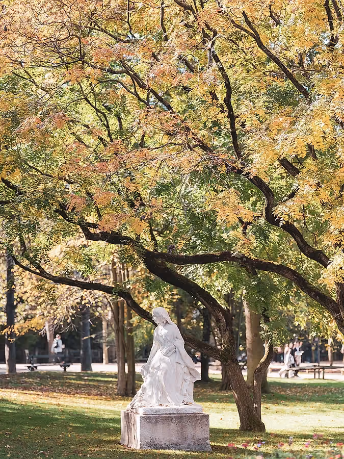 Statue blanche classique placée sur un socle dans un parc, sous la ramure d'un grand arbre aux feuilles automnales.