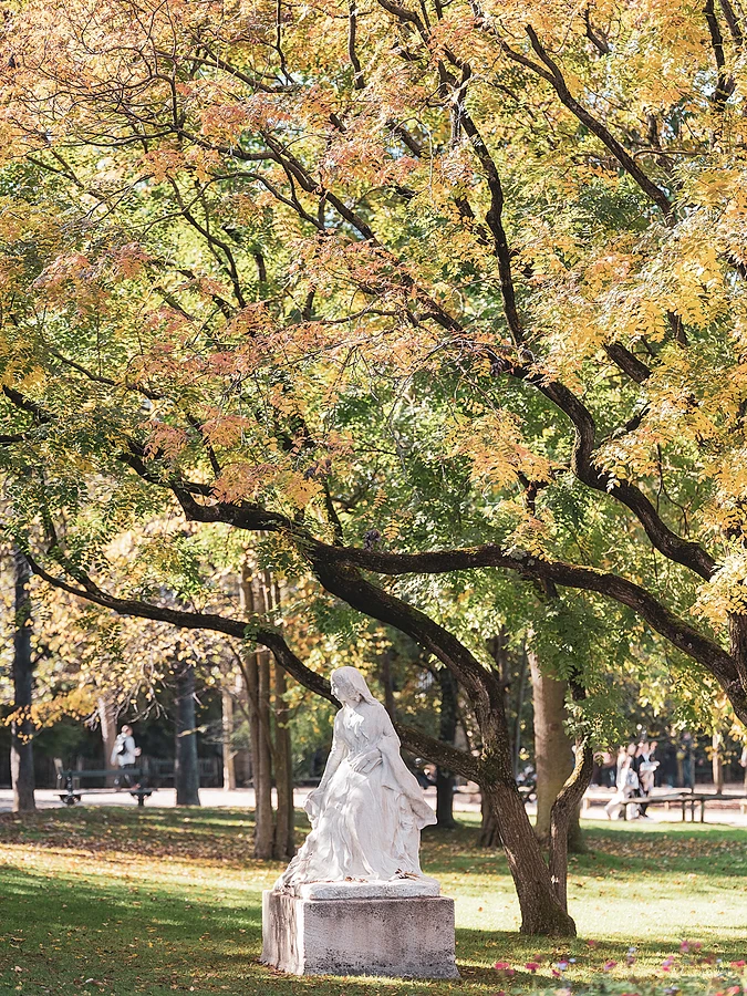 A classic white statue set on a pedestal in a park, beneath the boughs of a large tree with autumn foliage.