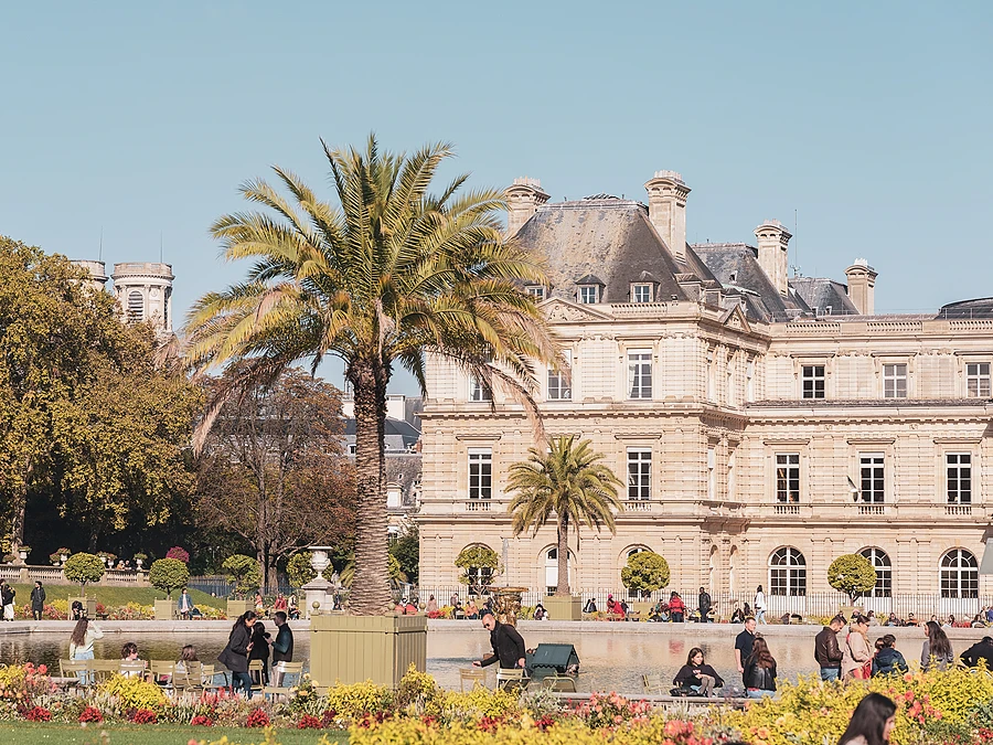 A sunny scene in the Luxembourg Gardens, featuring a large palm tree, a flower bed, and the Luxembourg Palace.