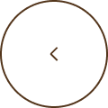 Left arrow inside a circular outline, indicating a back or previous action.