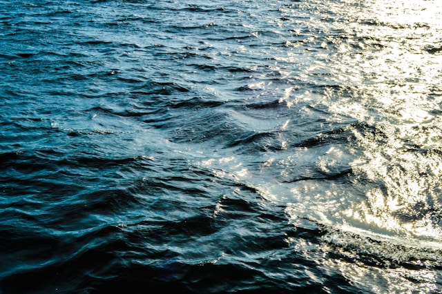 Rippling deep blue water with bright sunlight reflecting off the surface.