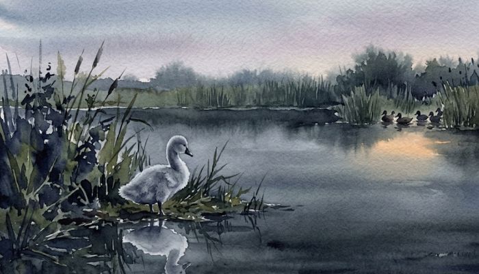 A lone grey cygnet at the edge of a dark still pond at dawn, set slightly apart from ducks in the distant reeds, its pale reflection faintly visible below, painted in muted slate and grey watercolour with a warm amber glow.