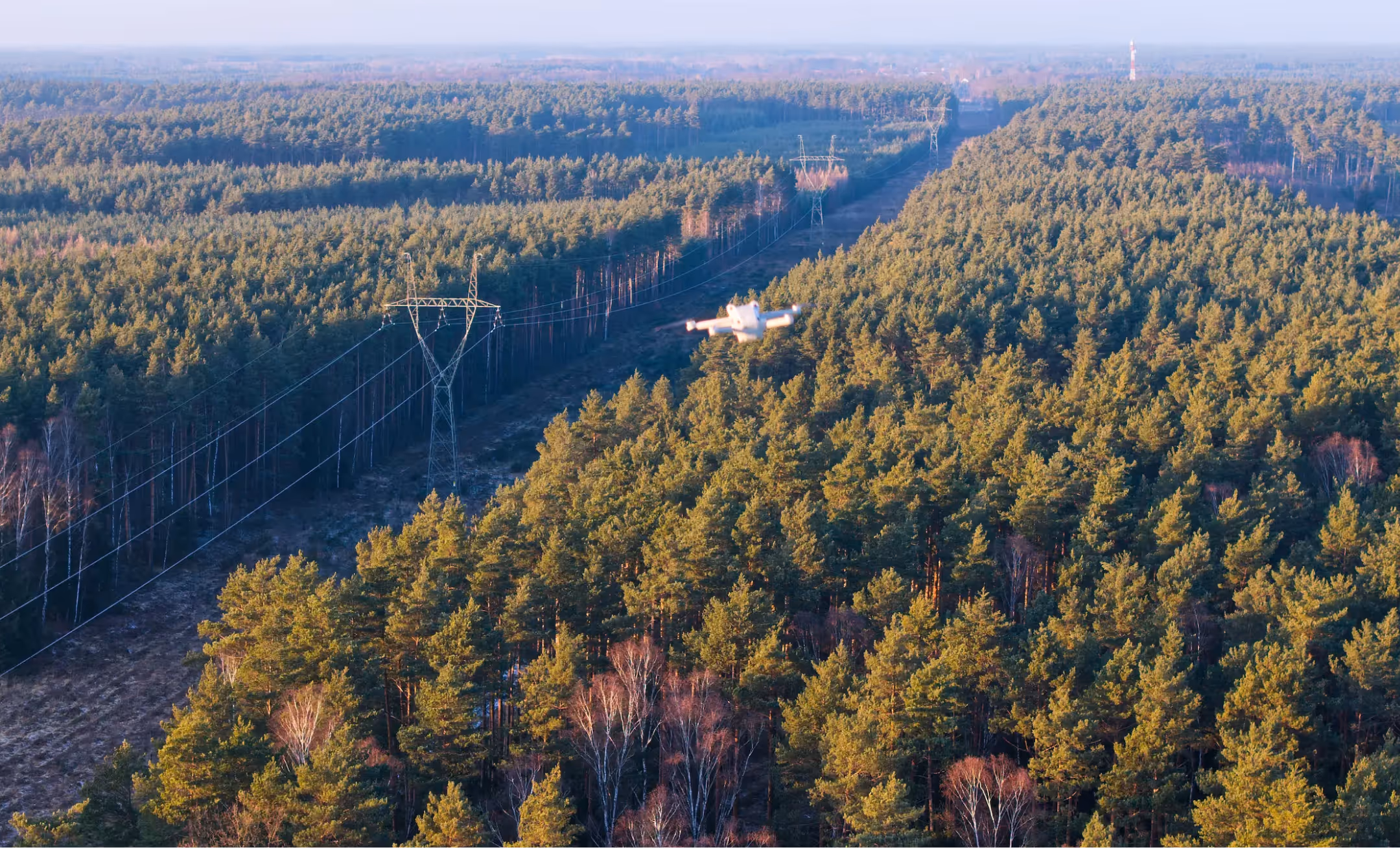 White drone flying over forest near a power line corridor with tall trees under a clear sky.