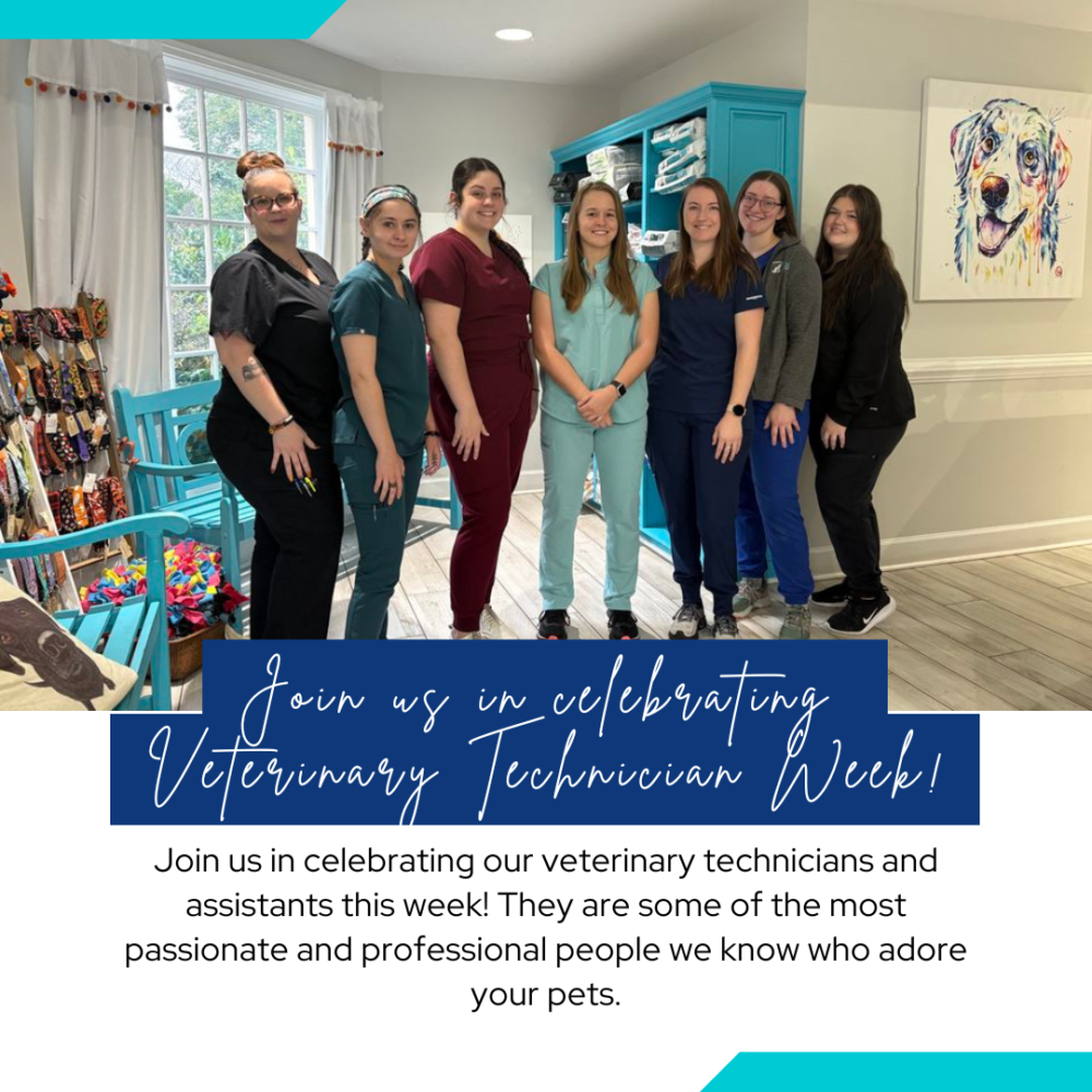 Charlottesville team celebrating Technician Week