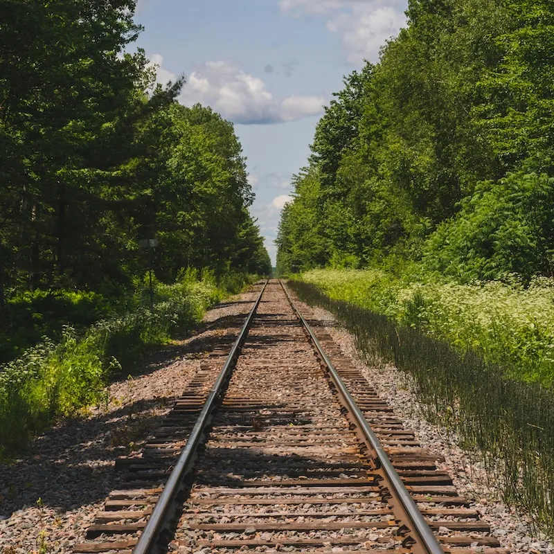 Eisenbahnschienen, die durch einen dichten Wald mit grünem Laub an einem sonnigen Tag führen.