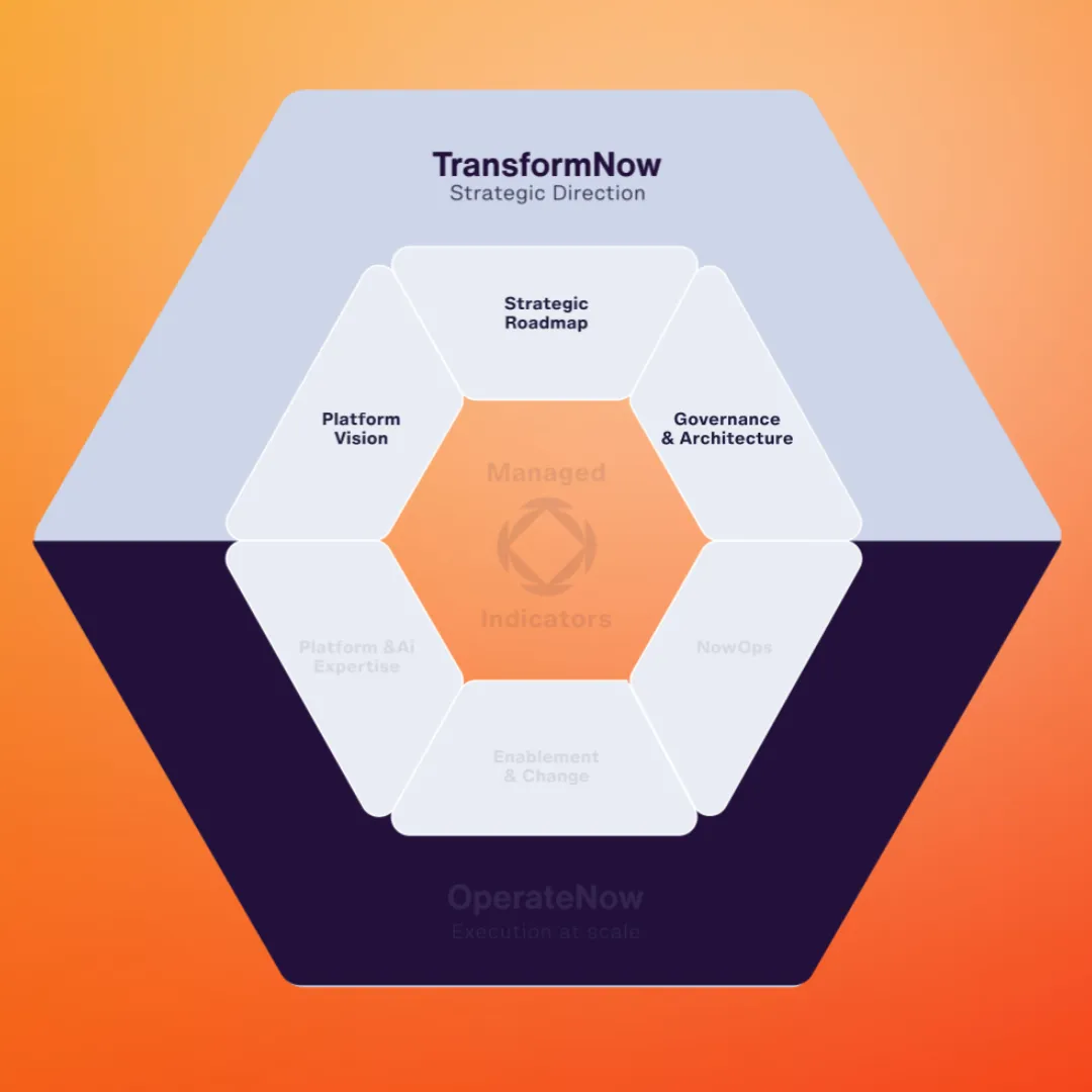 Hexagon diagram showing TransformNow with Strategic Roadmap, Platform Vision, Governance & Architecture.