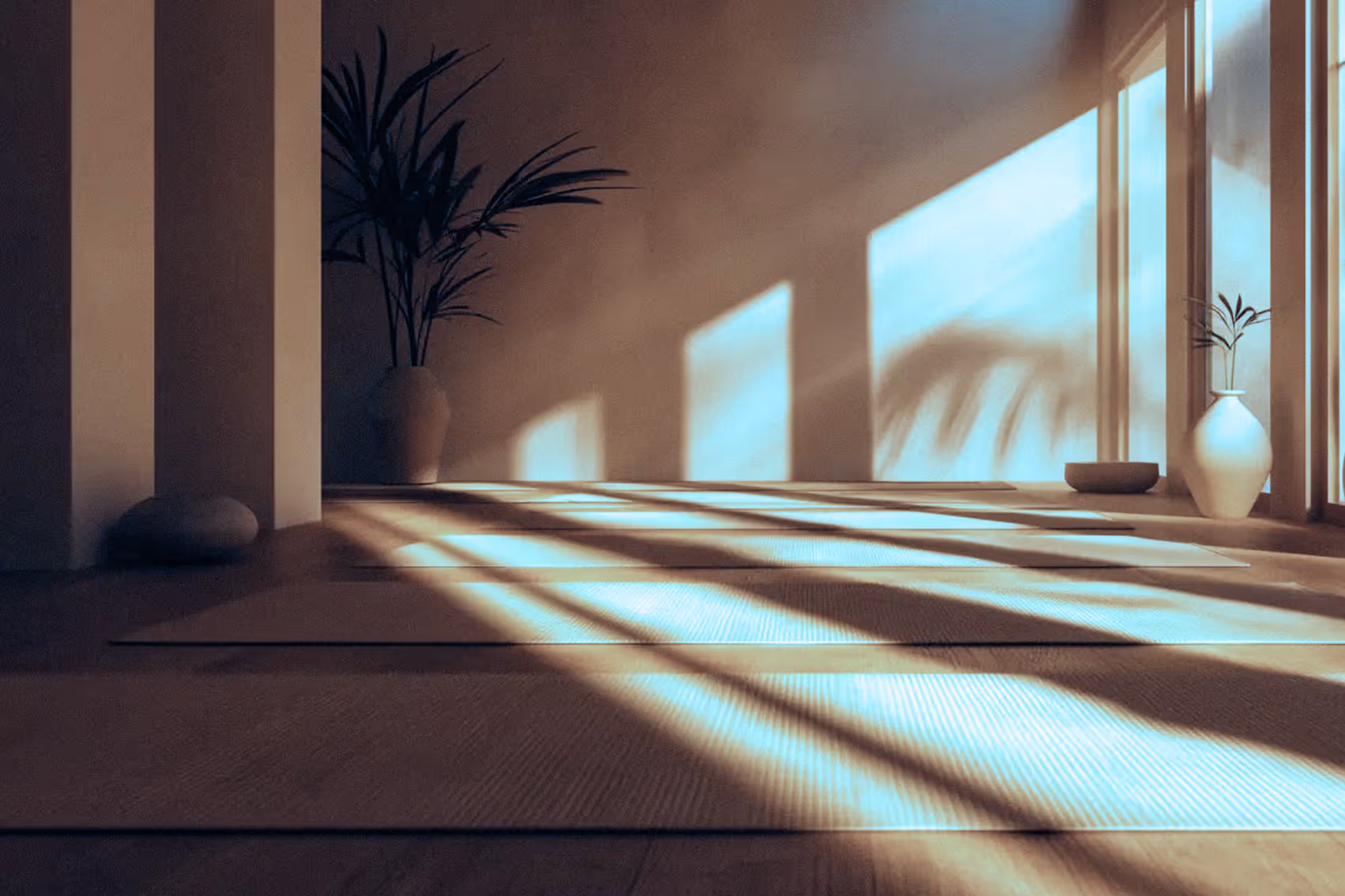 Sunlit indoor yoga studio with mats on wooden floor, large windows, and potted plants casting shadows.